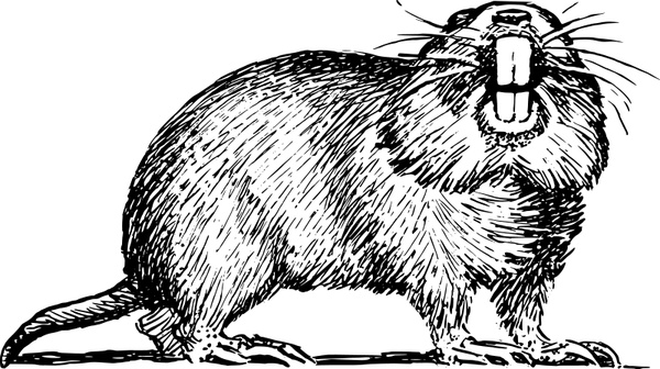 600x336 Gopher Free Vector In Open Office Drawing