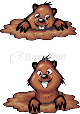 268x380 Groundhog Or Gopher Royalty Free Stock Vector Art Illustration