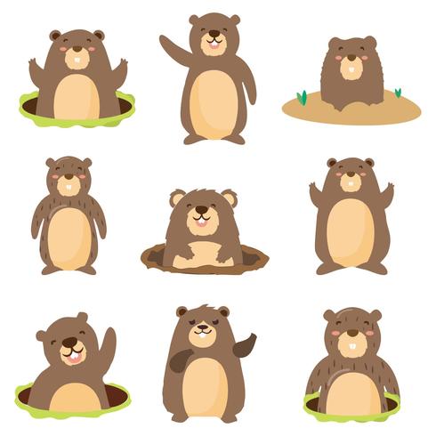 490x490 Flat Gopher With Different Pose Vector