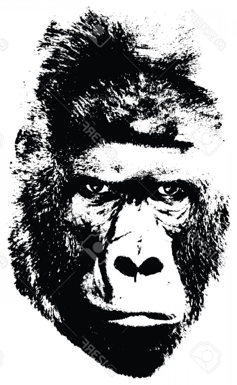 960x1560 Photostock Vector Illustration Of Gorilla Face On White Background