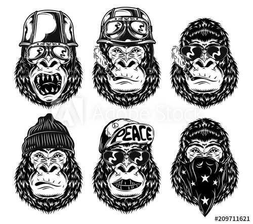 500x443 Set Of Isolated Black And White Gorilla Faces