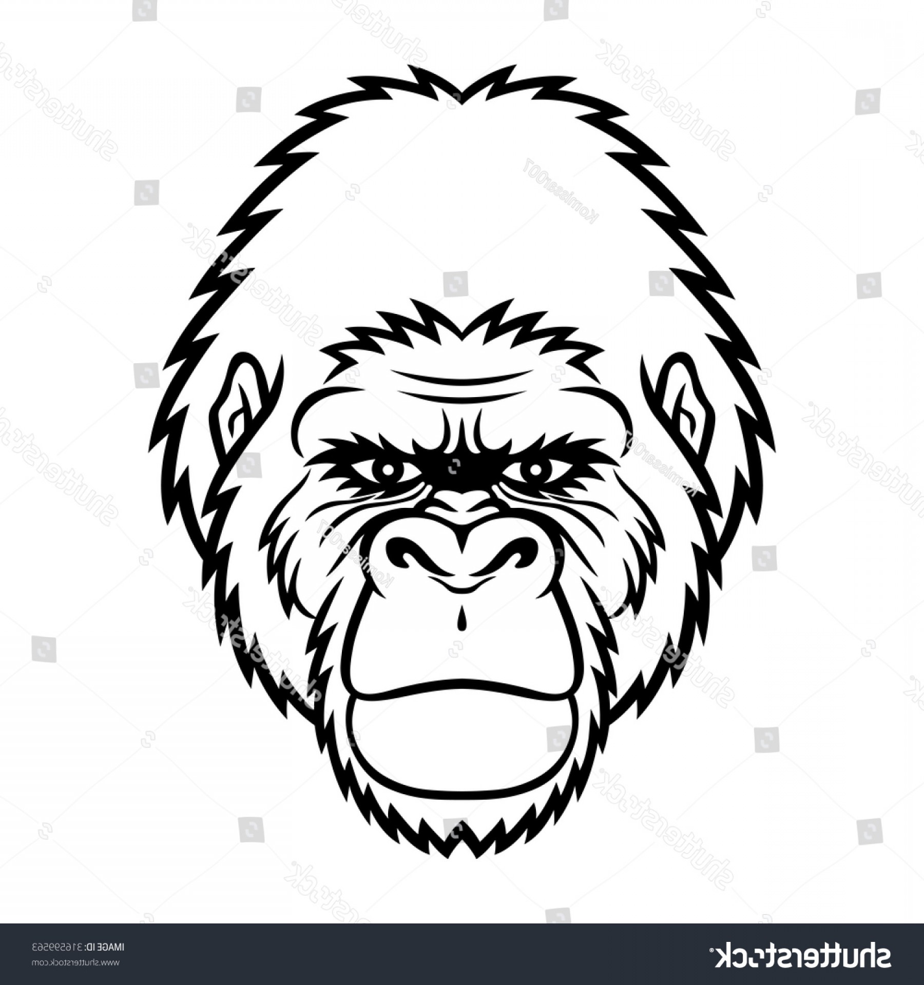 1800x1920 Gorilla Head Vector Animal Hoodamathrun