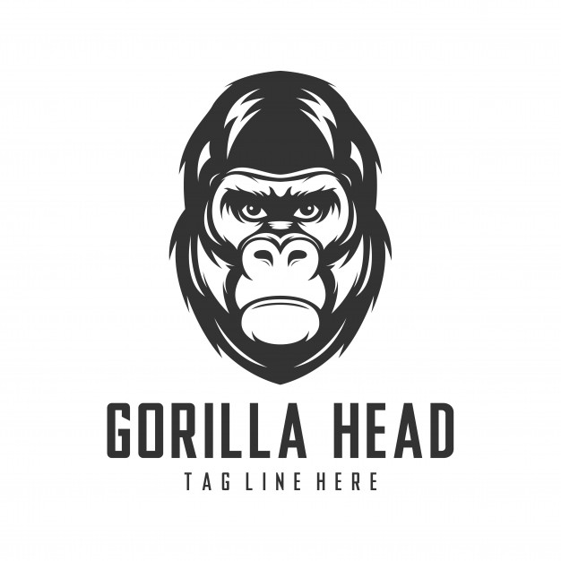 626x626 Gorilla Head Logo Design Vector Template Vector Premium Download