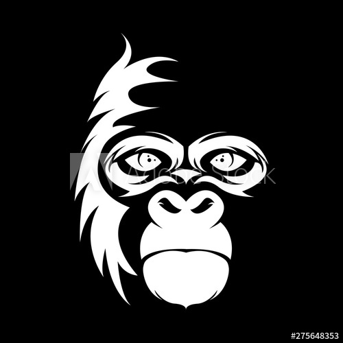 500x500 Gorilla Head Vector Image