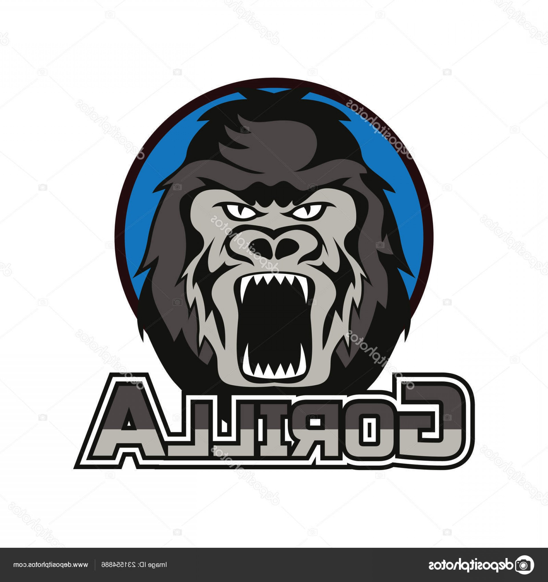 1920x2040 Hulk Logo Vector Catamart