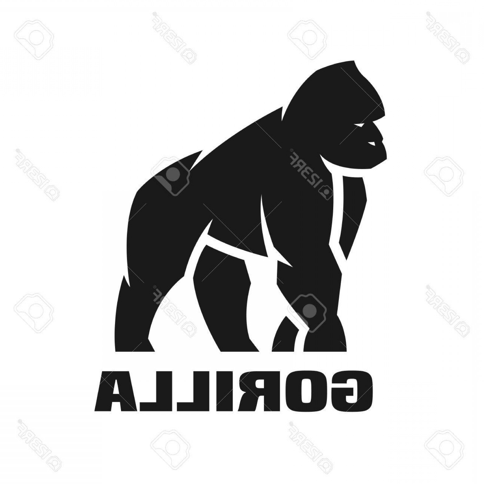 1560x1560 Joliet Police Logo Vector Catchsplace