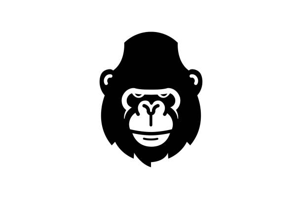 612x404 Gorilla Silhouette Vector Free