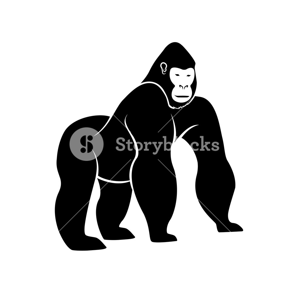 989x1000 Gorilla Silhouette Vector Royalty Free Stock Image
