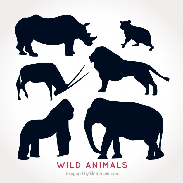 626x626 Gorilla Vectors, Photos And Free Download