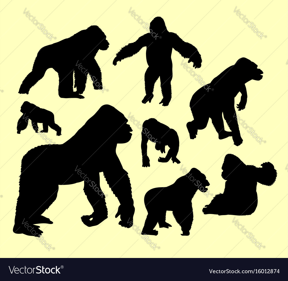 1000x976 Huge Collection Of 'gorilla Silhouette Vector Free' Download More