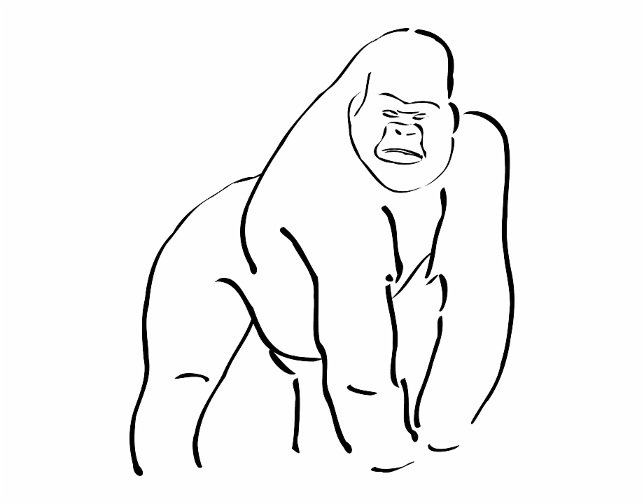 920x720 Outline Of A Gorilla Gorilla Silhouette Free Vector