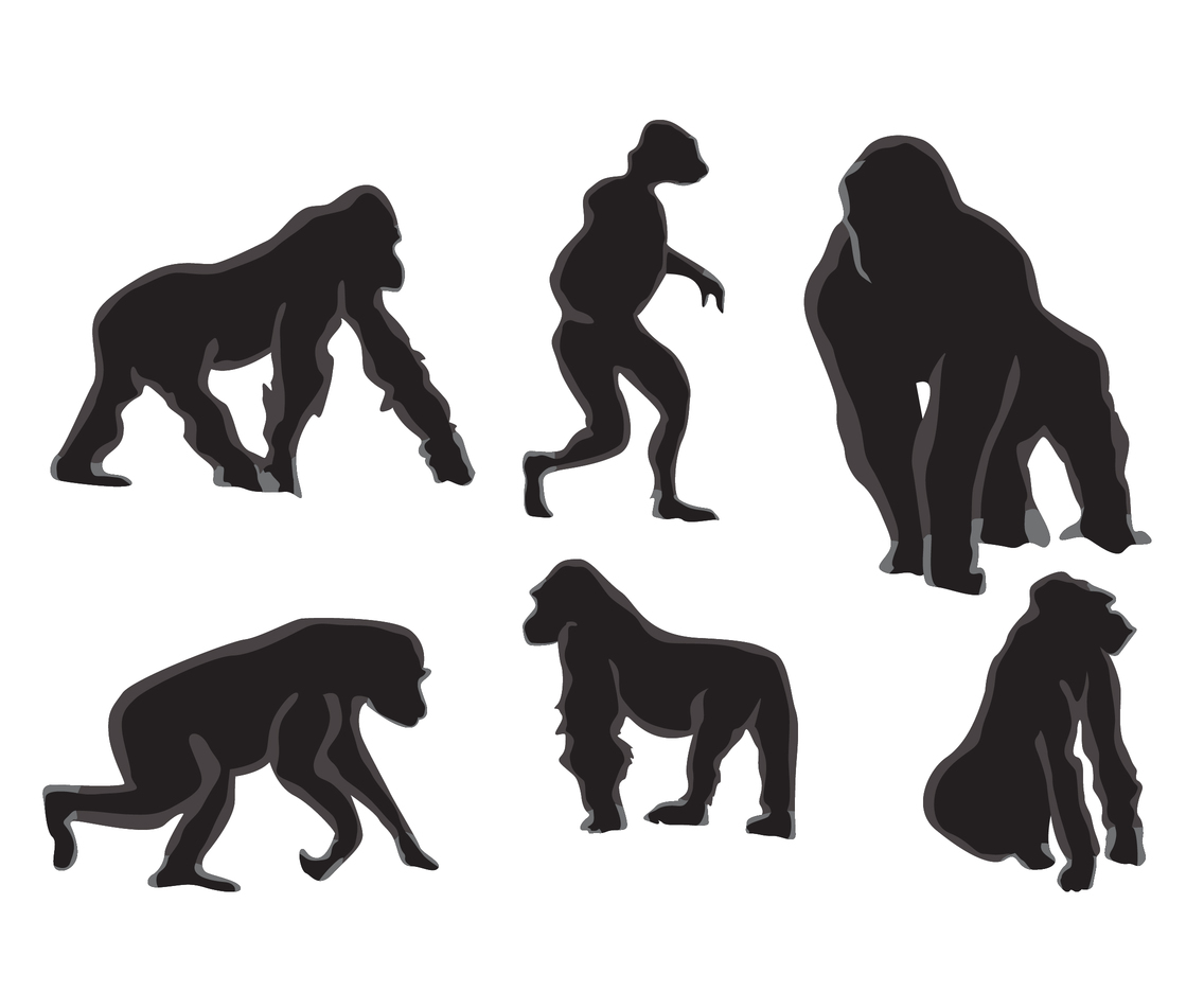1136x936 Realistic Ape Silhouette Vector Art Graphics
