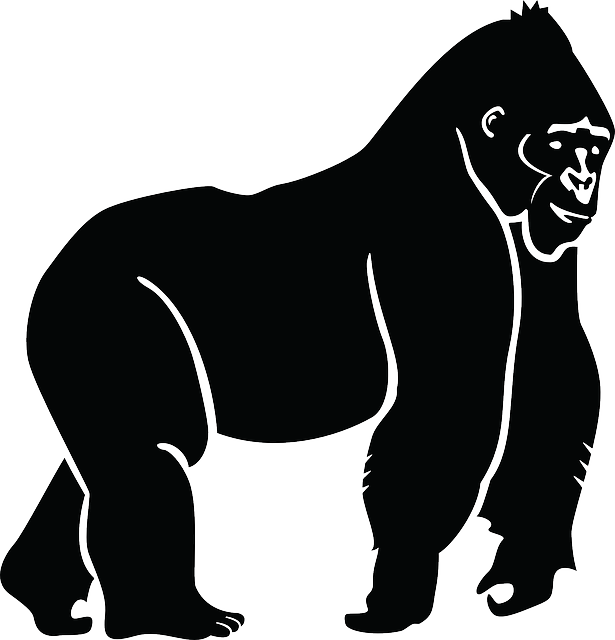 615x640 Silhouette Ape Gorilla Animal Jungle Zoo Symbol Silhouette Sport