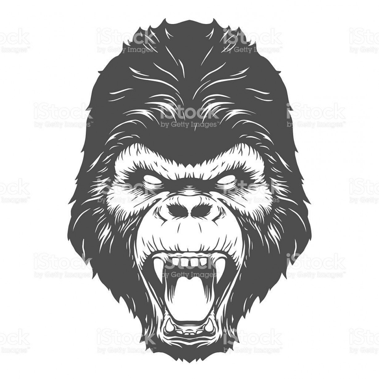 1228x1228 Smoking Gorilla Vector Catchsplace
