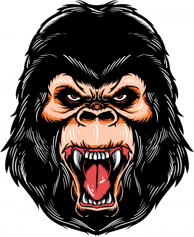 Gorilla Vector at Vectorified.com | Collection of Gorilla Vector free ...