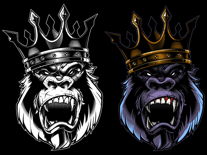 800x600 Gorilla Vector Illustration Merch Development