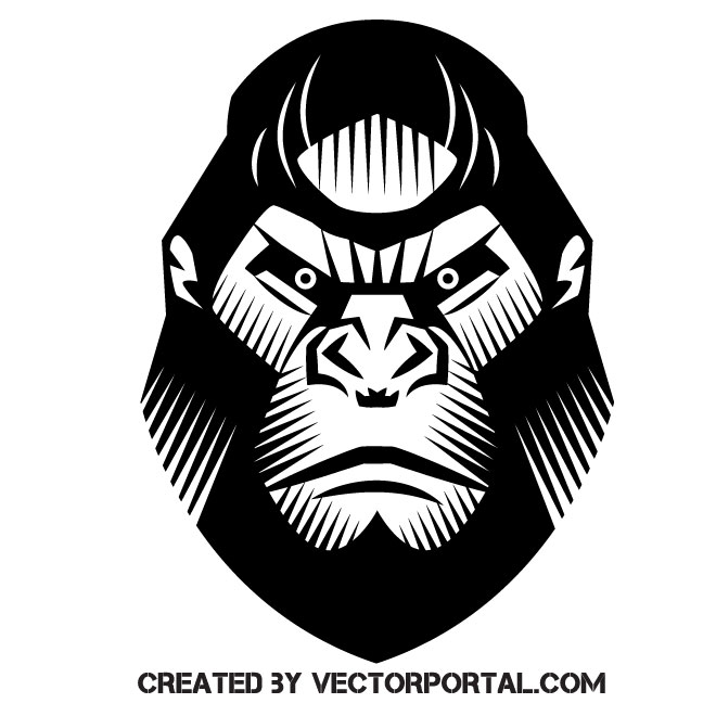660x660 Gorilla Vector Graphics