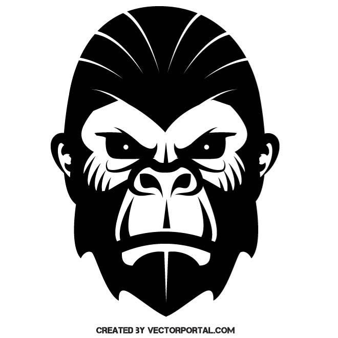 660x660 Gorilla Vector Image Animal Vectors In Car Stickers, Art