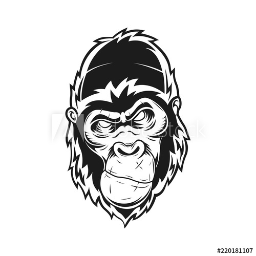 Gorilla Vector at Vectorified.com | Collection of Gorilla Vector free ...