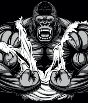 300x350 Graphic Design Sample Work Idea Custom Solutions