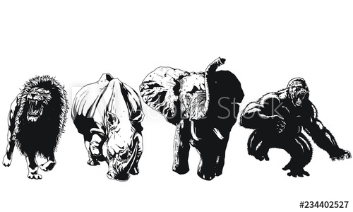 500x300 Lion Rhinoceros Elephant And Gorilla Vector Art