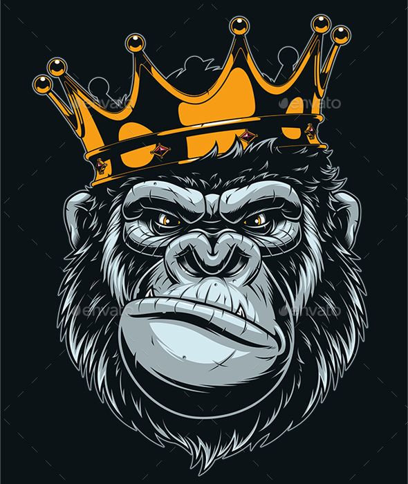 590x700 Ferocious Gorilla Head Vector Illustration
