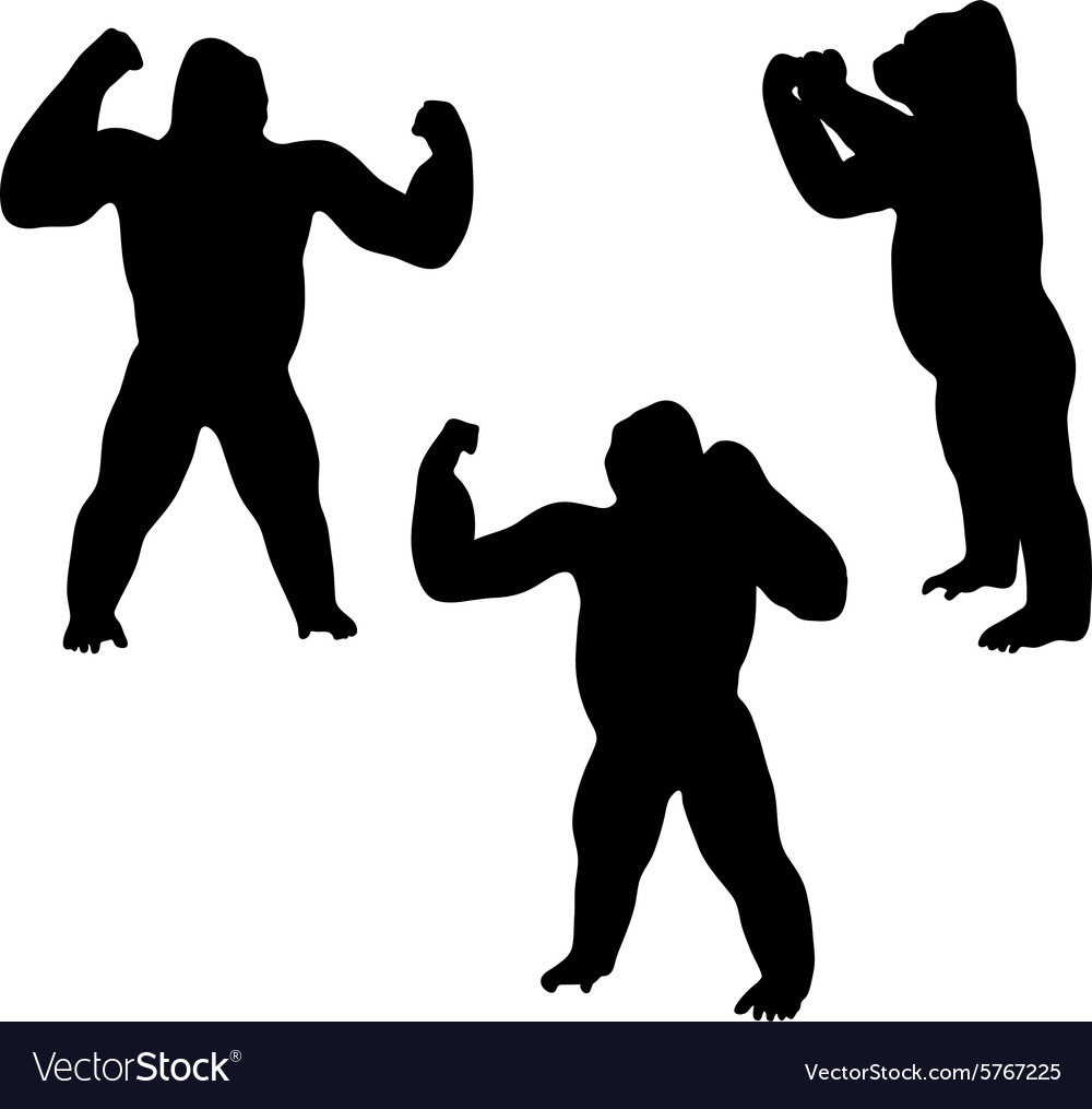 1000x1015 Huge Collection Of 'gorilla Silhouette Vector Free' Download More