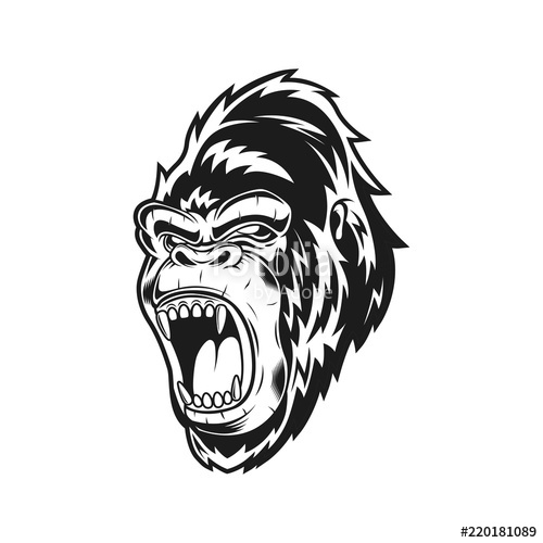 500x500 Monochrome Scream Gorilla Vector Illustration Stock Image