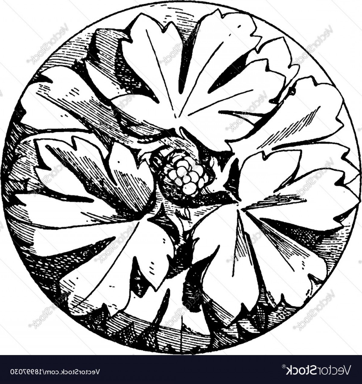 1200x1273 Gothic Vine Vectors Catamart