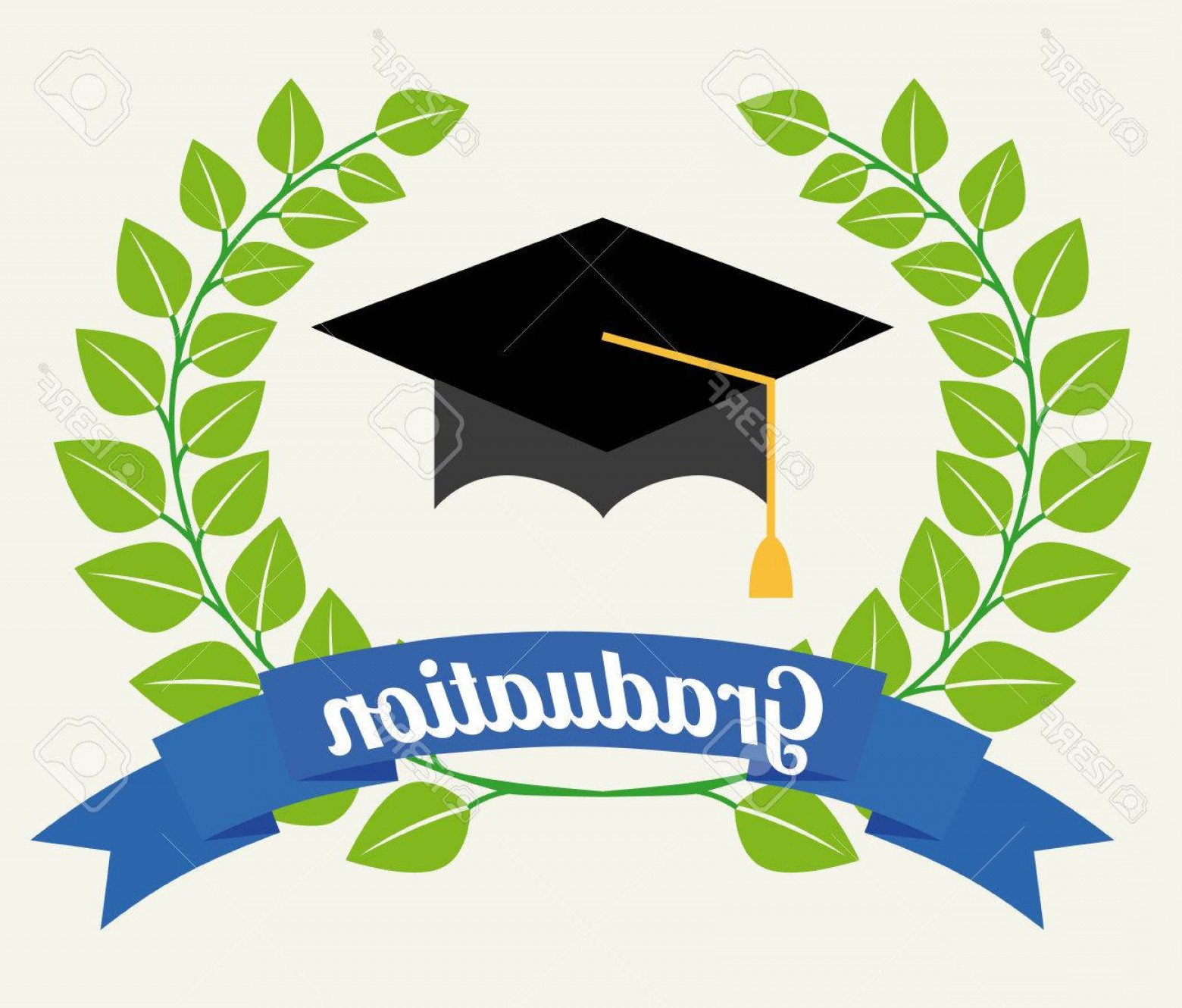 1560x1330 Photostock Vector Graduation Design Over White Background Vector