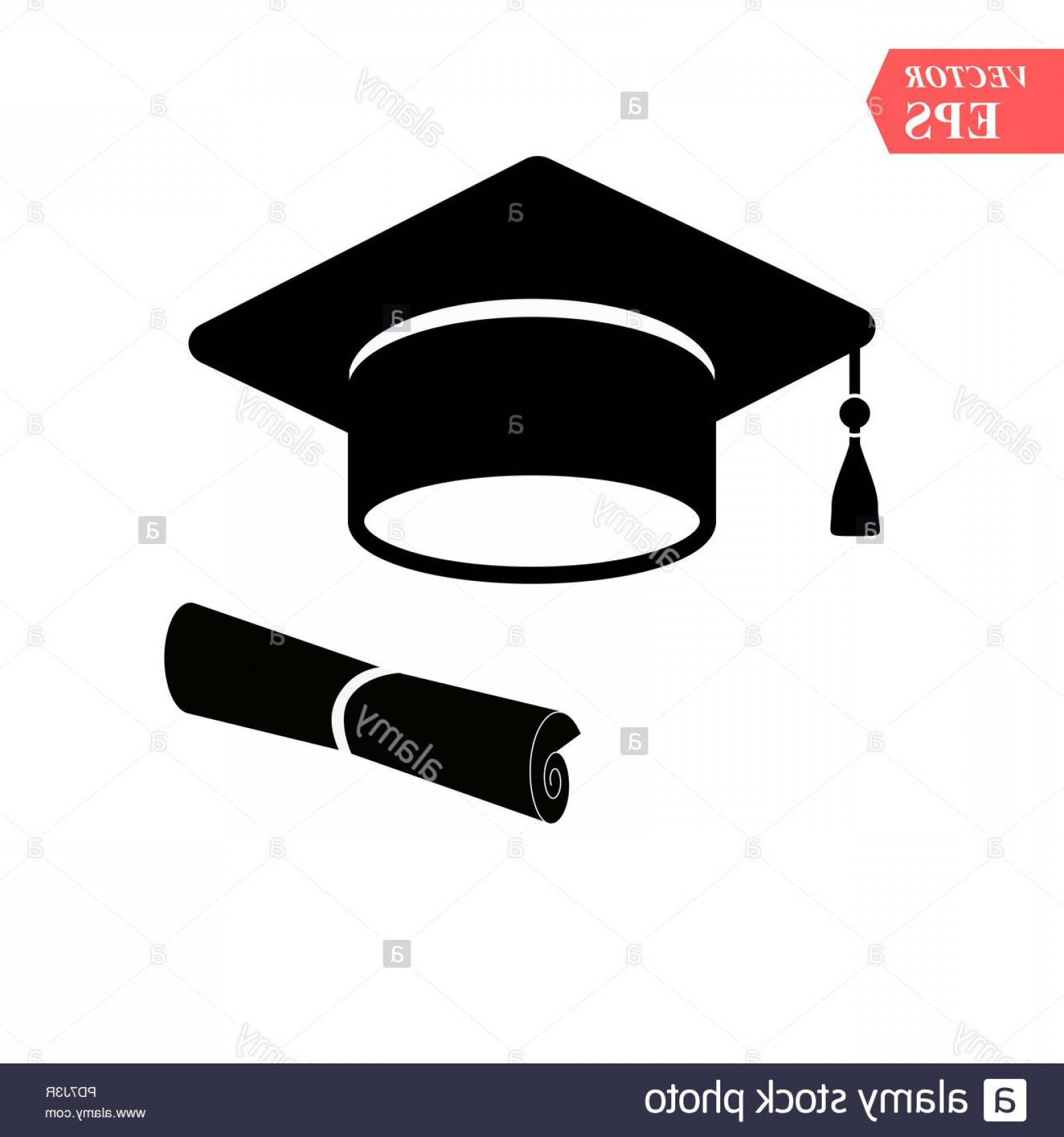 1560x1668 Graduation Cap And Diploma Vector Icon Hoodamath