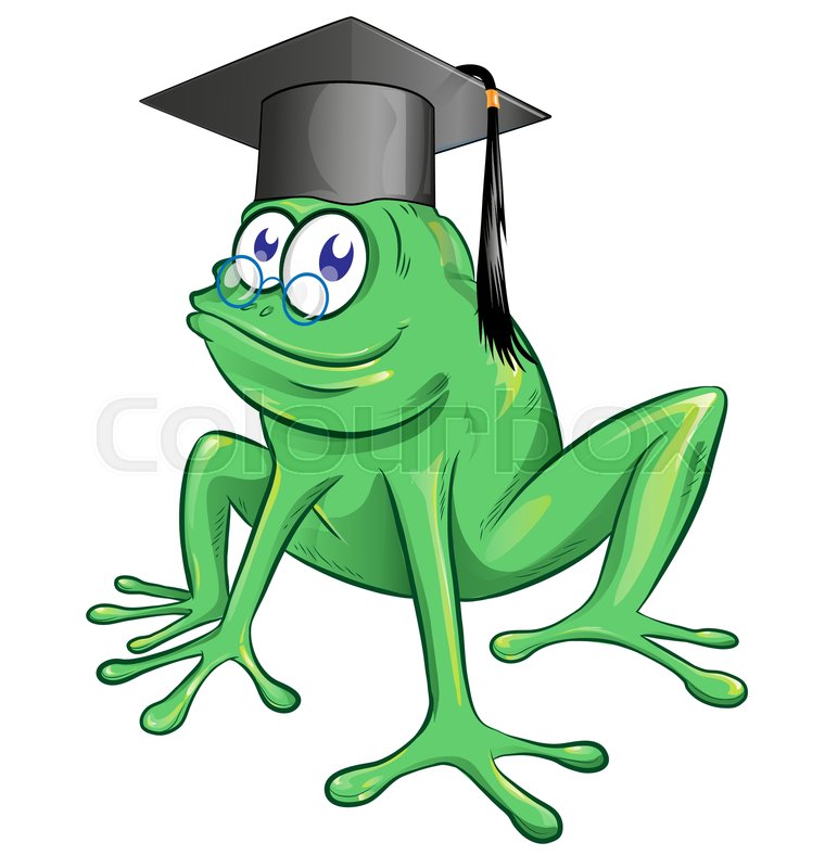 760x800 Illustration Of A Happy Smiling Frog Stock Vector Colourbox