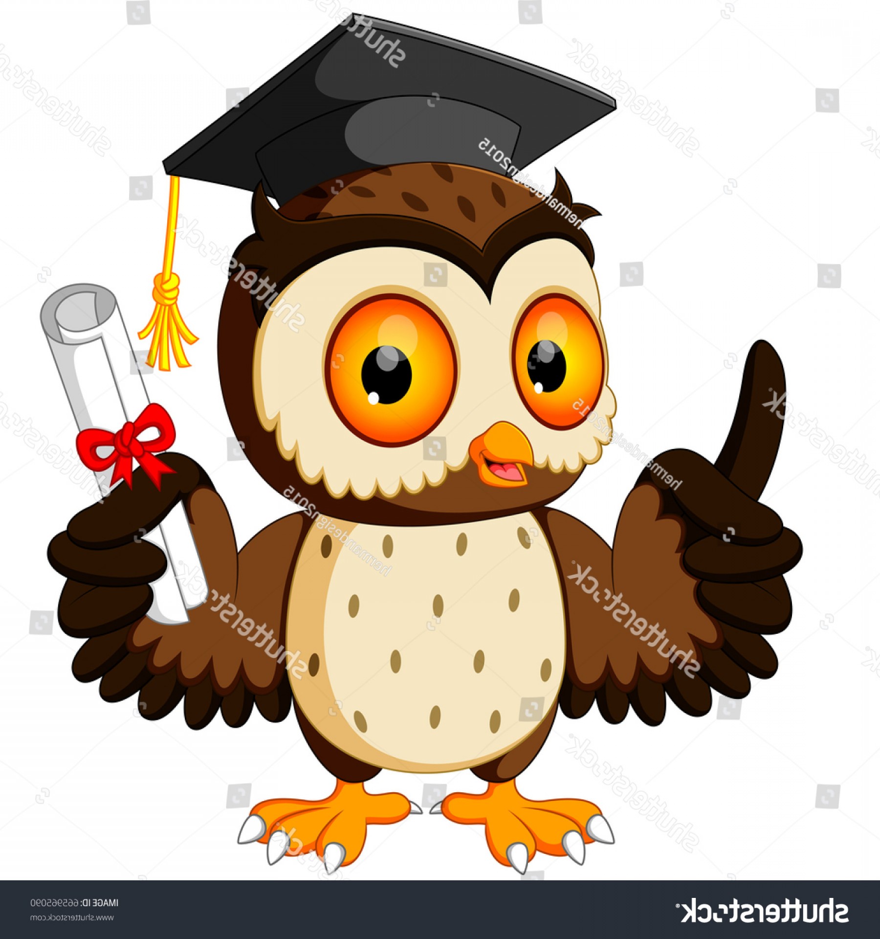 1800x1920 Vector Illustration Owl Cartoon Wearing Graduation Handandbeak