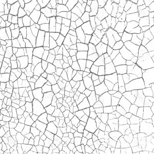 300x300 Dirt Or Grain Texture Vector Handandbeak