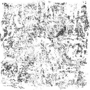 300x300 Dirt Or Grain Texture Vector Newwaysys