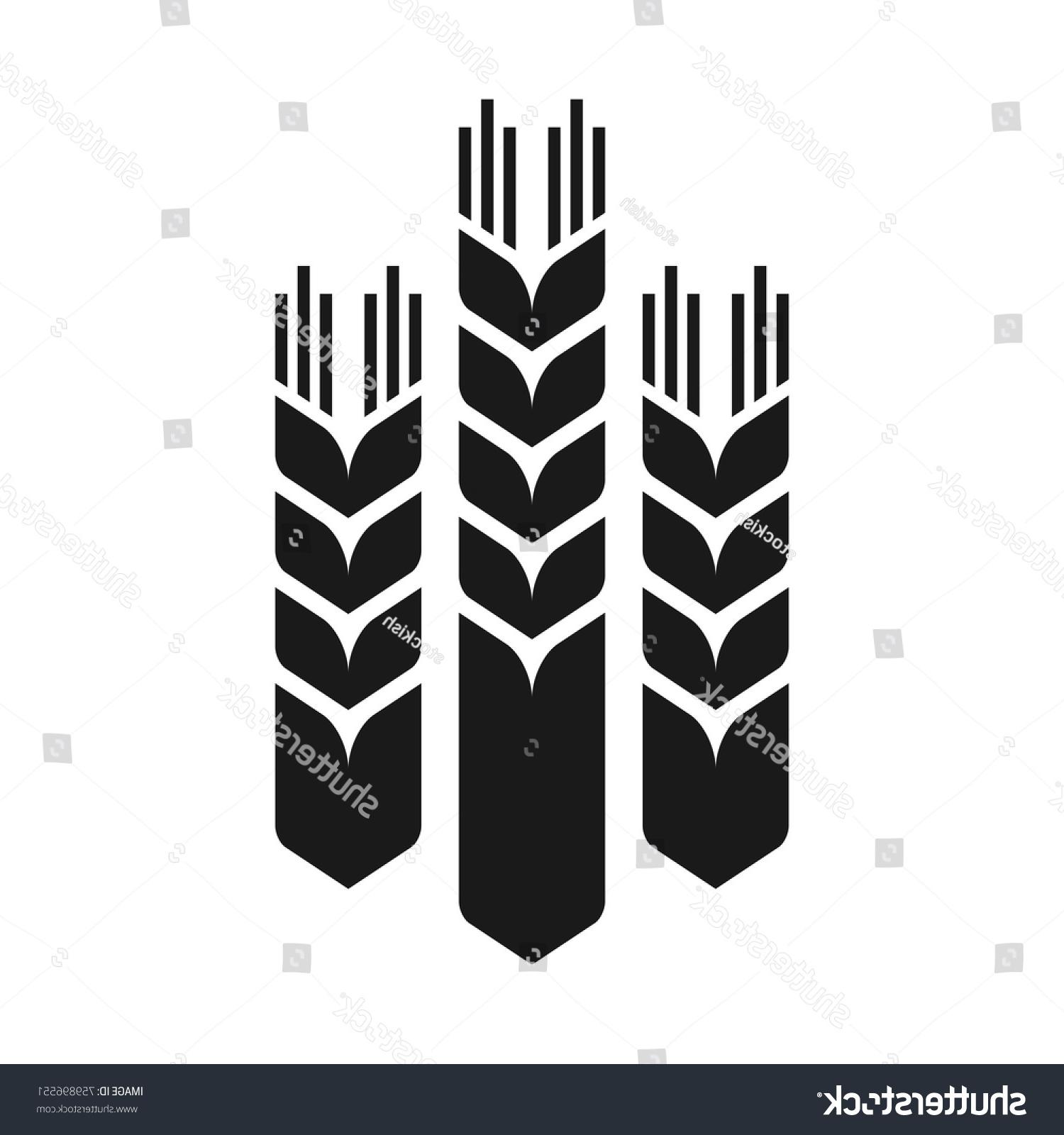 Grain Vector