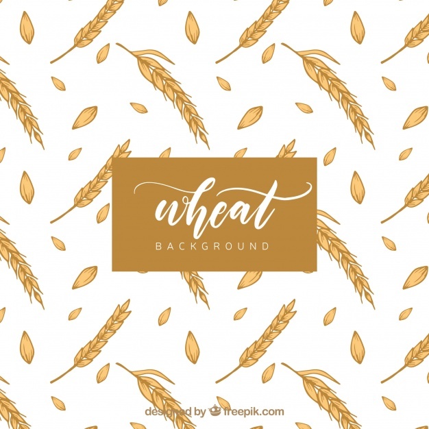 626x626 Grain Vectors, Photos And Free Download