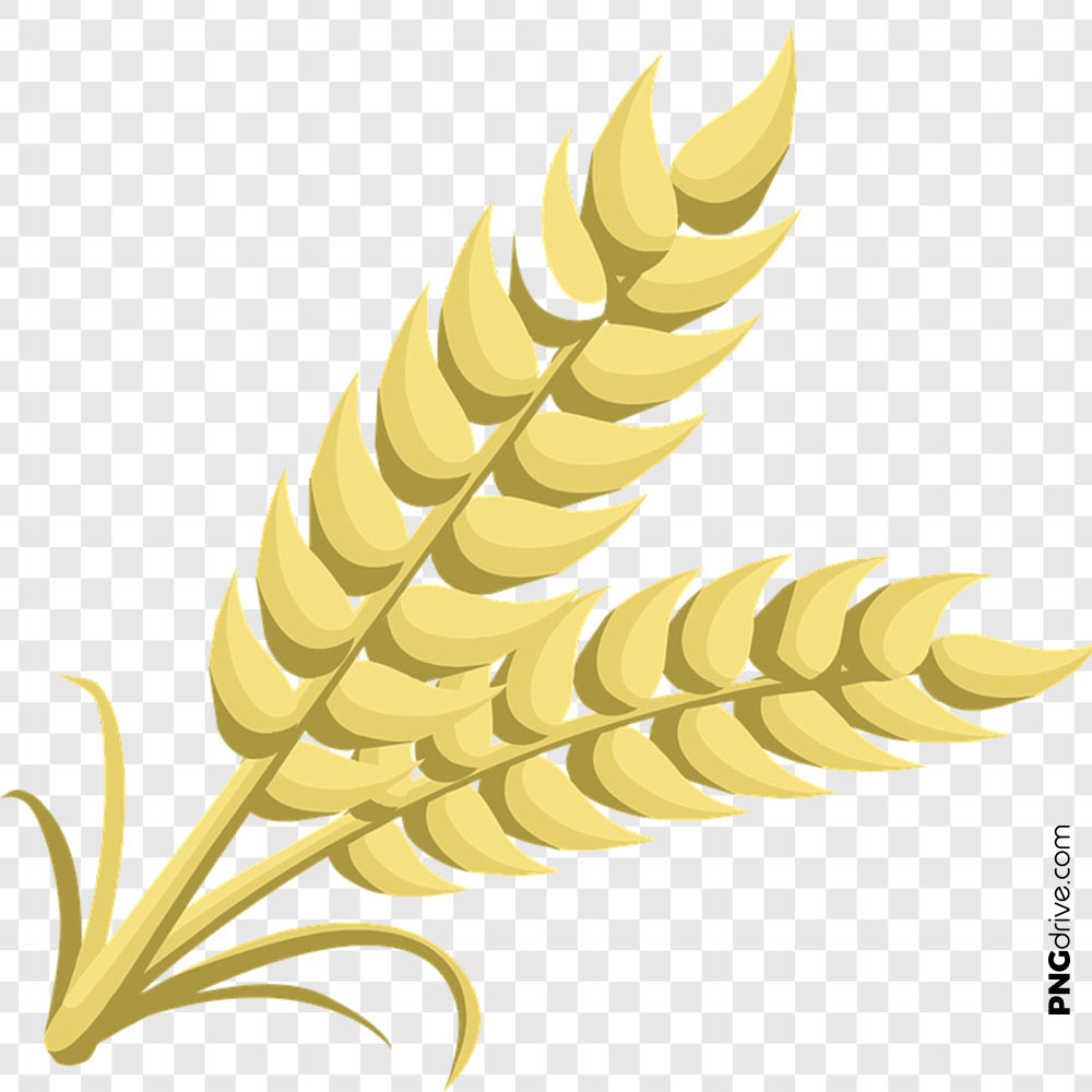 Grain Vector at Vectorified.com | Collection of Grain Vector free for ...