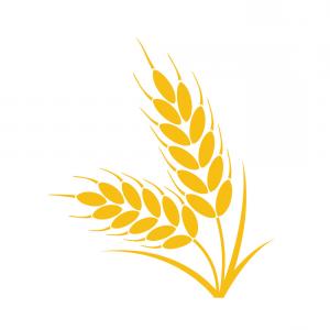 300x300 Wheat Logo Vector Design Grain Image Soidergi