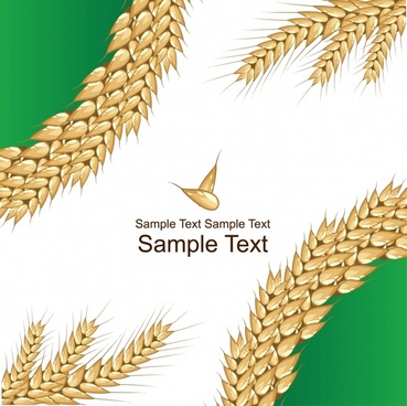 369x368 Wheat Grain Vector Free Vector Download