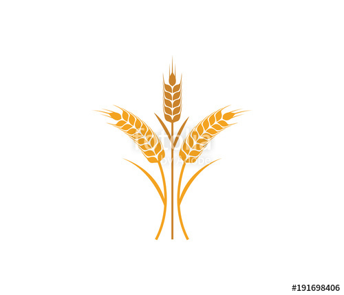 500x429 Vector Logo Design And Elements Of Wheat Grain, Wheat Ears, Wheat