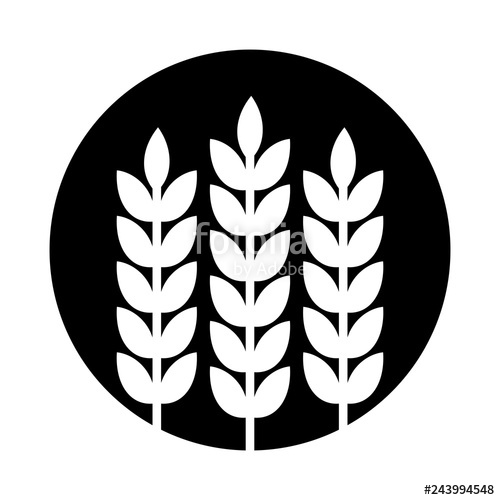 500x500 Wheat Grain Vector Logo Stock Image And Royalty Free Vector