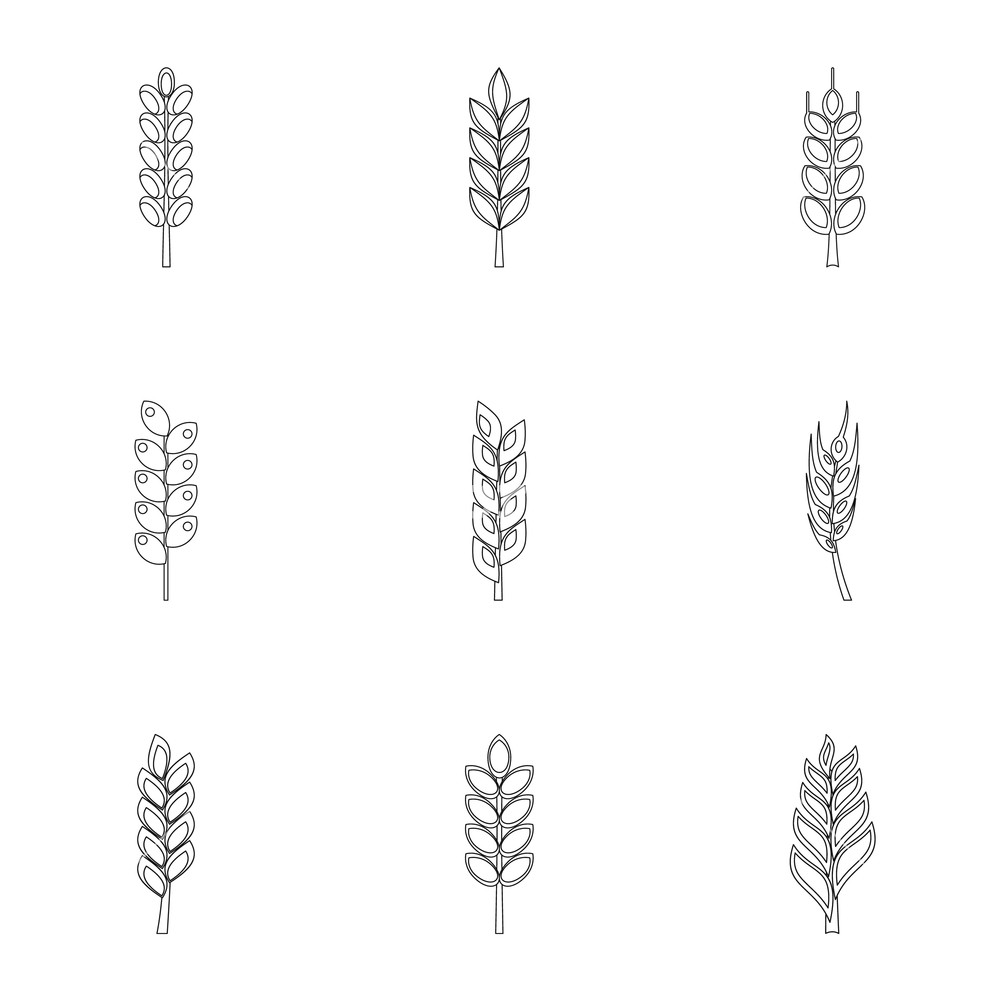 1000x1000 Cereal Gran Set Outline Style Set Of Cereal Grain Vector
