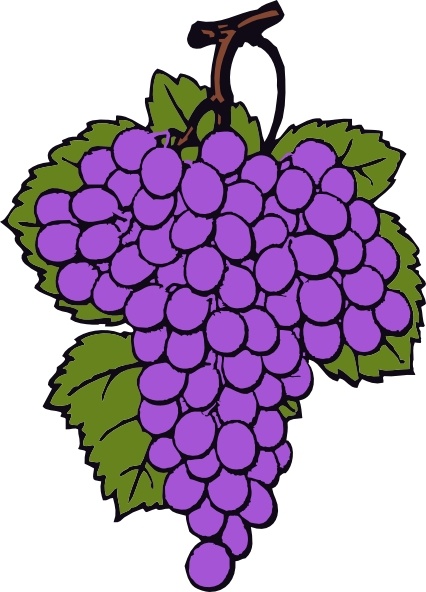 Grape Cluster Clip Art Free Vector In Open Office Drawing 426x592 Grape Cluster Clip Art Free Vector In Open Office Drawing