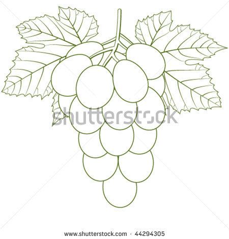 Grape Leaf Pattern Drawings Grape Cluster 450x470 Grape Leaf Pattern Drawings Grape Cluster