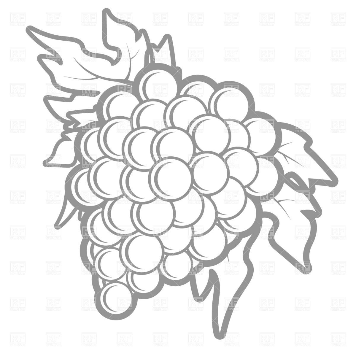 Grape Cluster Vector Image Of Food And Beverages 1200x1200 Grape Cluster Vector Image Of Food And Beverages