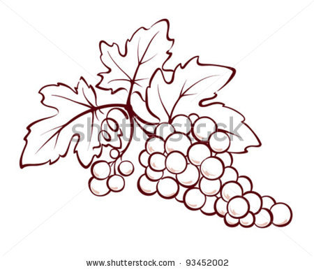 Grapes Clipart Vector 450x386 Grapes Clipart Vector