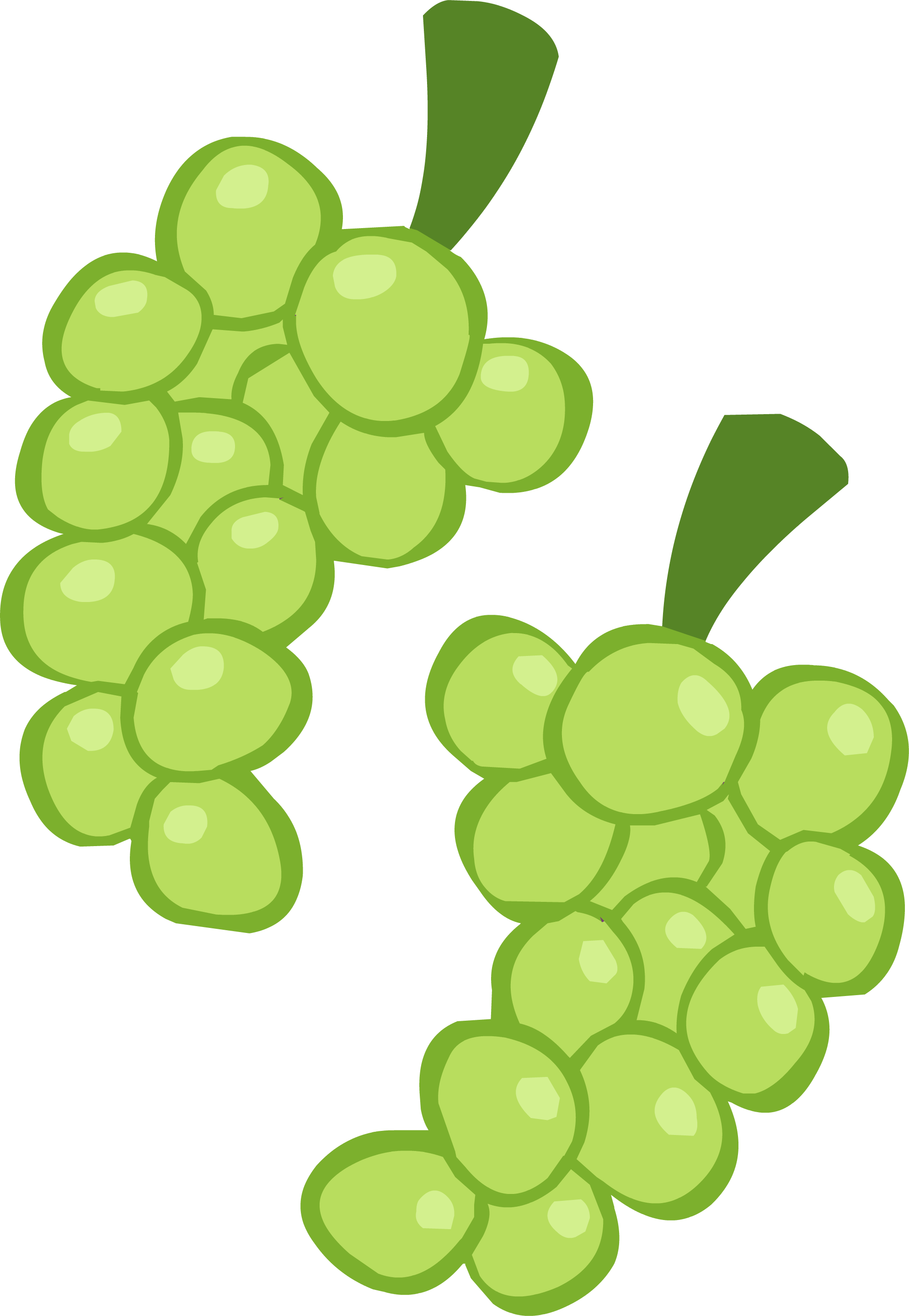 Grapes Clipart Grape Cluster For Free Download And Use Images 1988x2879 Grapes Clipart Grape Cluster For Free Download And Use Images
