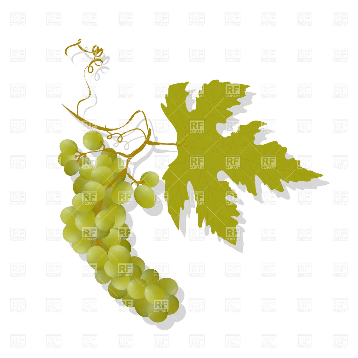 Bunch Of Grapes And Leaf Vector Image Of Plants And Animals 1200x1200 Bunch Of Grapes And Leaf Vector Image Of Plants And Animals