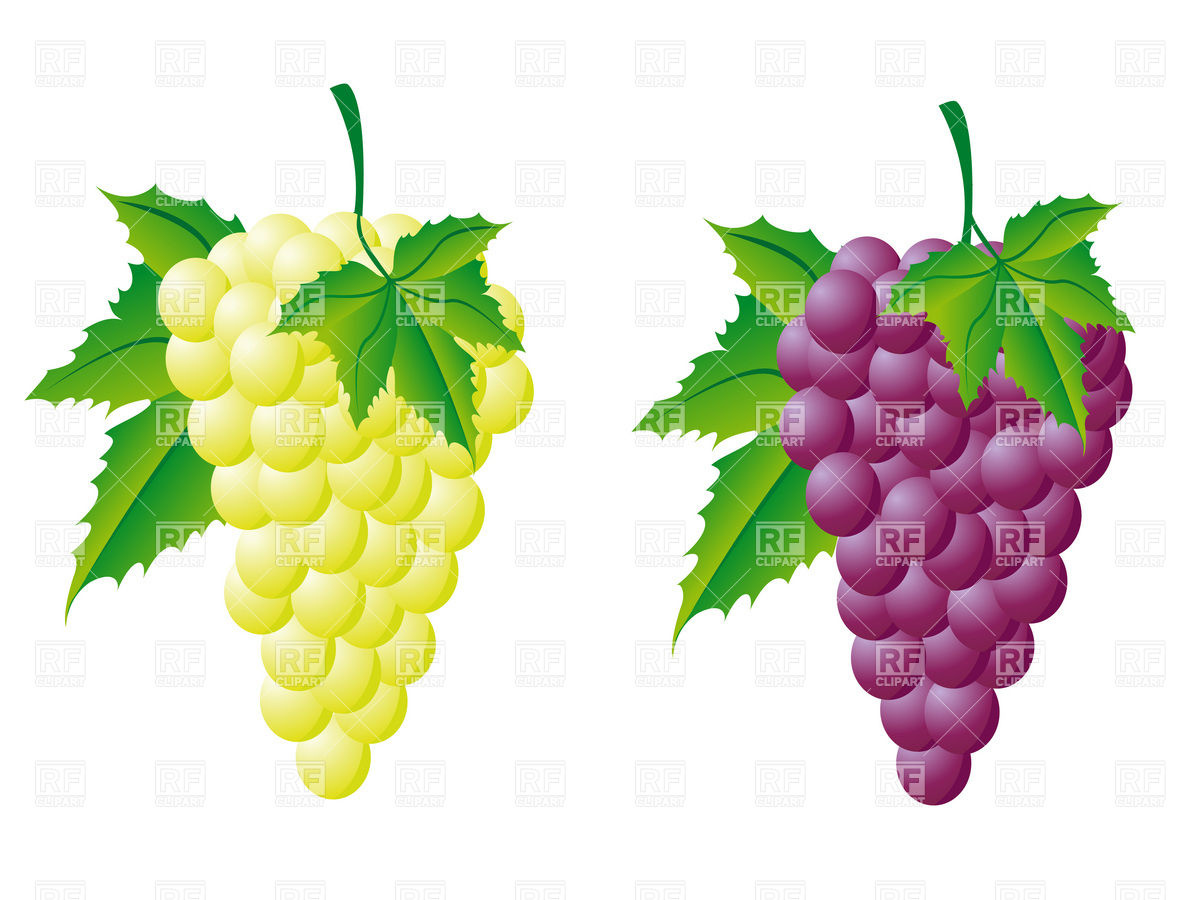Bunch Of Grapes With Leaves 1200x900 Bunch Of Grapes With Leaves